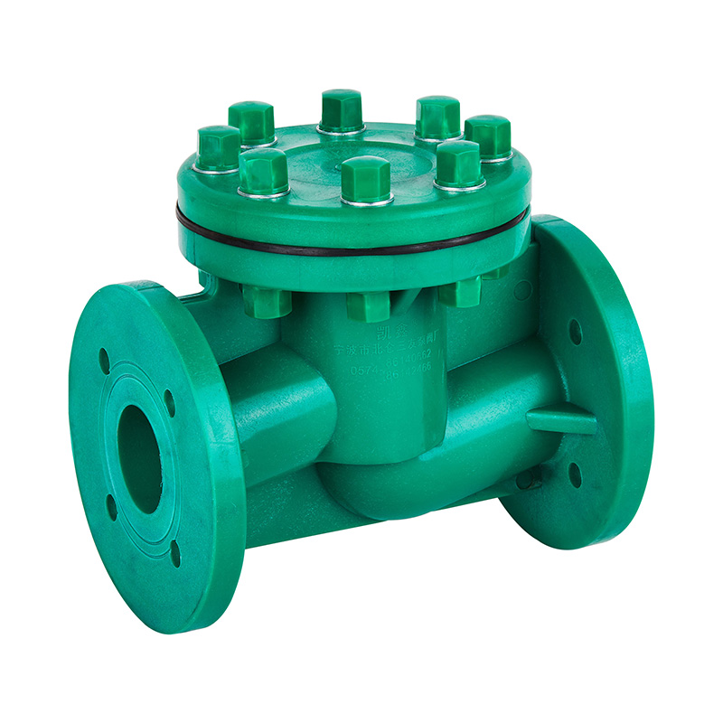 FRPP H41F-10S 升降式止回閥 DN40-80國(guó)標(biāo)